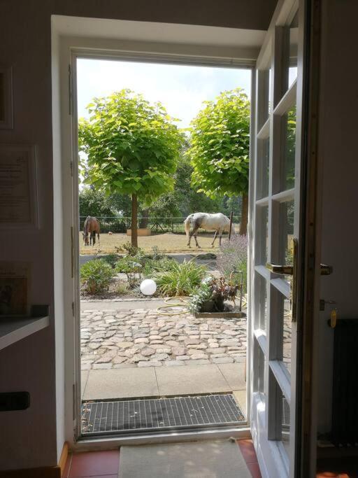 Apartmán Xanadi Heilehaus Kleine Auszeit Kururlaub Bruchhausen-Vilsen Exteriér fotografie