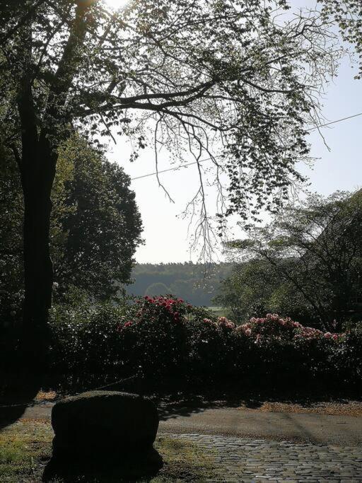 Apartmán Xanadi Heilehaus Kleine Auszeit Kururlaub Bruchhausen-Vilsen Exteriér fotografie